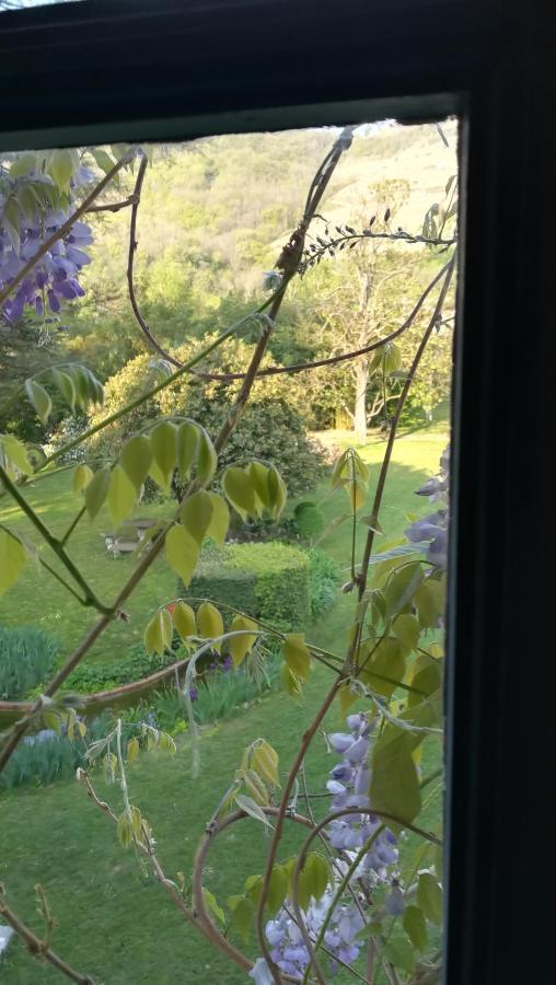 Les Palmiers Bed & Breakfast Mauves Eksteriør bilde